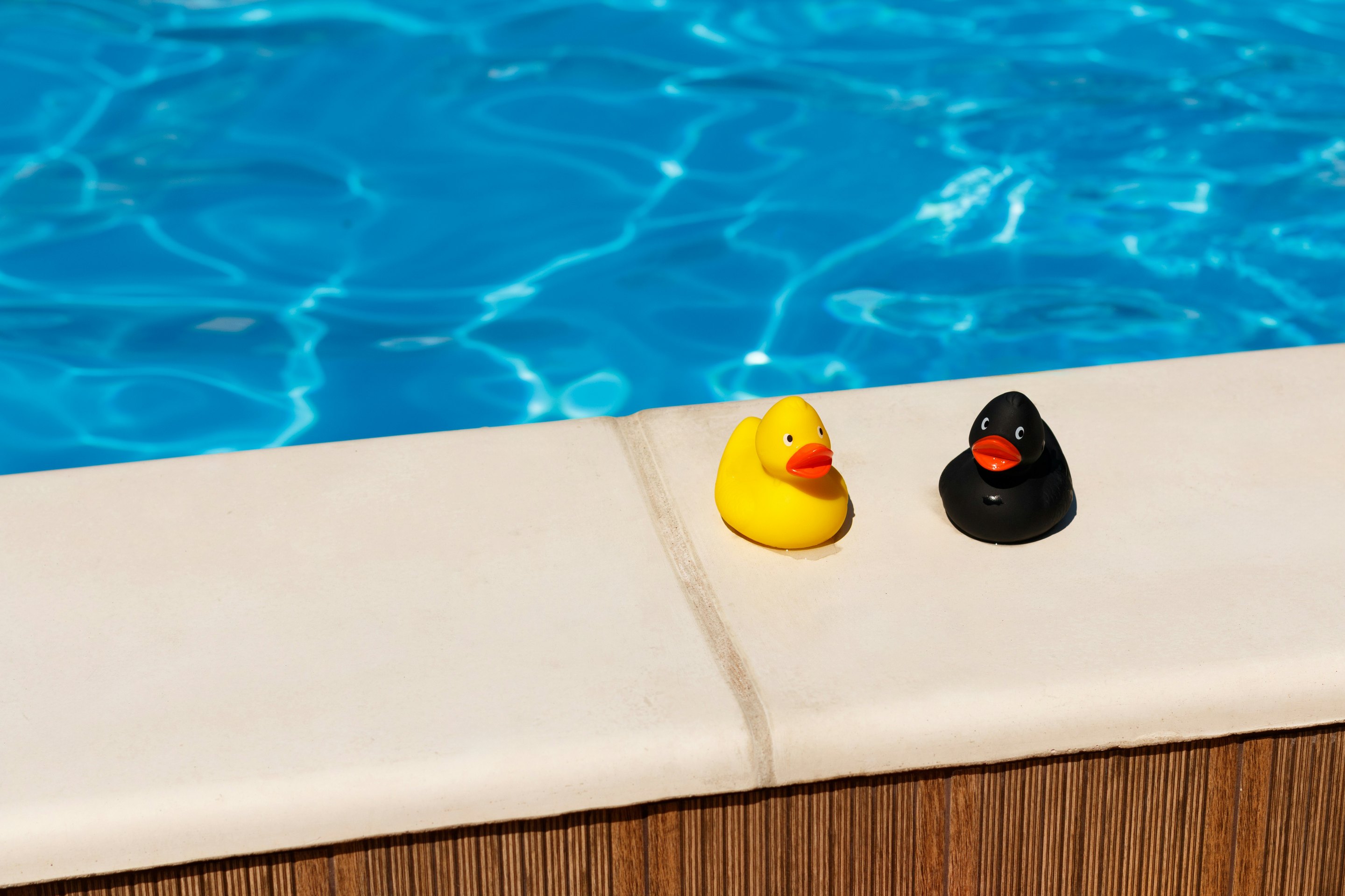 Schwimmende Enten als Symbol für den YBM-Pool
